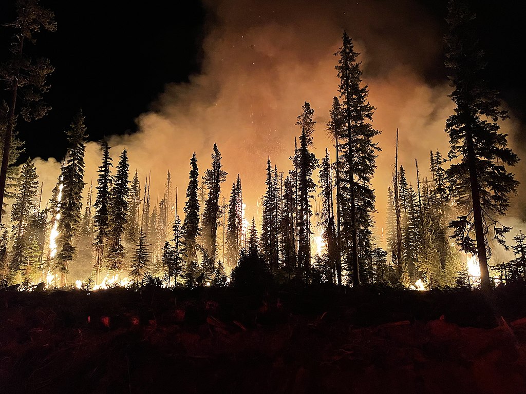 Wildfires in Northern Forests Broke Carbon Emissions Records in 2021